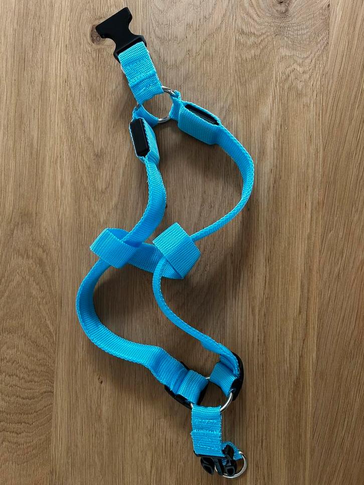 Col avec lumières, Animaux & Accessoires, Colliers & Médailles pour chiens, Neuf, Enlèvement