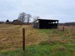 Weide met schuilstal te huur in Duffel / Sint Katelijne Wave, Dieren en Toebehoren, Stalling en Weidegang