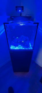 Zeeaquarium Red Sea 100L, Dieren en Toebehoren, Gebruikt, Gevuld zeewateraquarium