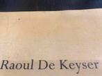 Raoul De Keyser schilderijen 90pag, Ophalen of Verzenden, Zo goed als nieuw, Schilder- en Tekenkunst