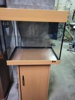 Aquarium JUVEL, Enlèvement