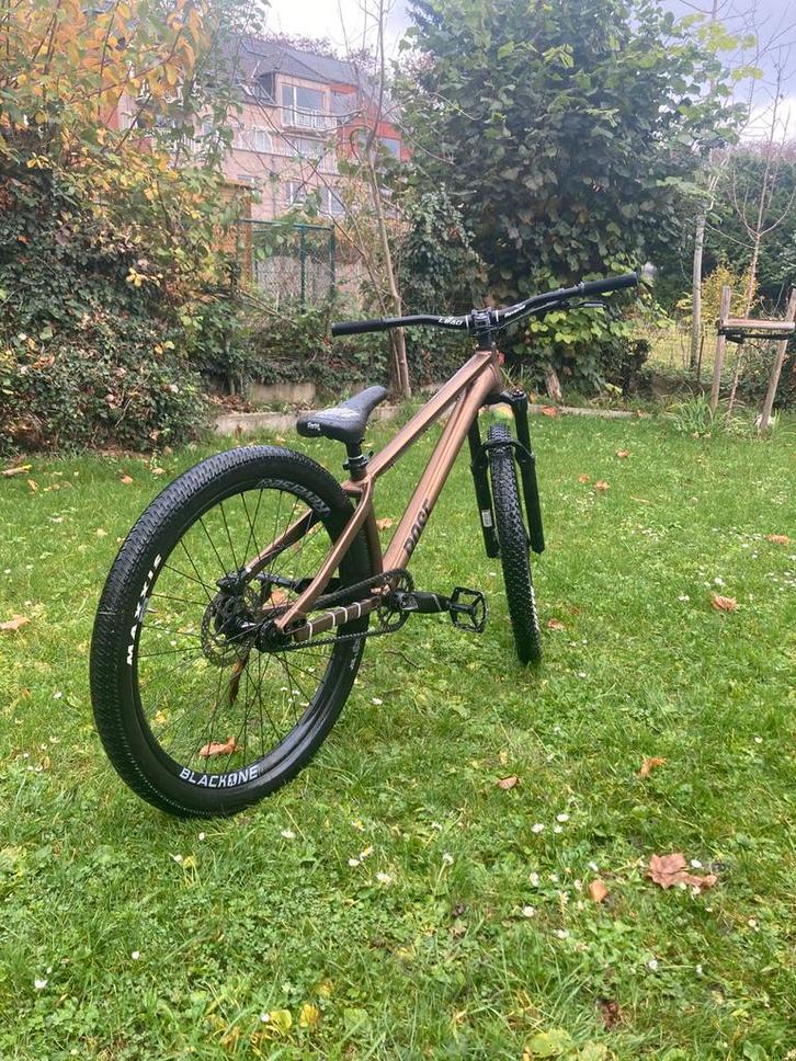 Rose the bruce, Fietsen en Brommers, Fietsen | Mountainbikes en ATB, Zo goed als nieuw, Heren, Overige merken, Hardtail, Ophalen