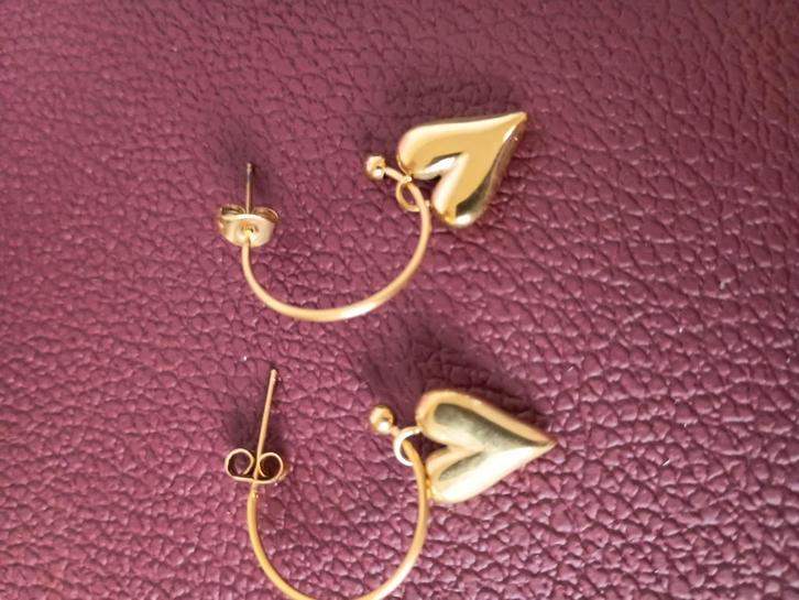 hypoallergeen waterproof 18 verguld rvs, Bijoux, Sacs & Beauté, Boucles d'oreilles, Neuf, Enlèvement ou Envoi