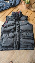 Bodywarmer Hollister - maat M, Kleding | Heren, Bodywarmers, Ophalen of Verzenden, Zo goed als nieuw, Maat 48/50 (M)