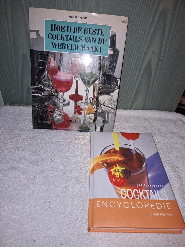 2 cocktails boeken, nieuwstaat, Boeken, Kookboeken, Nieuw, Overige gebieden, Ophalen of Verzenden