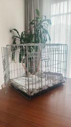 Bench voor hond, grote kat, konijn, cavia, Ophalen, Zo goed als nieuw