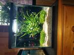 Deux aquariums à vendre, Ophalen, Zo goed als nieuw