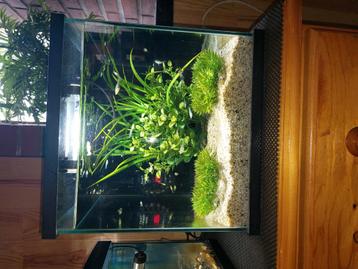 Deux aquariums à vendre  beschikbaar voor biedingen