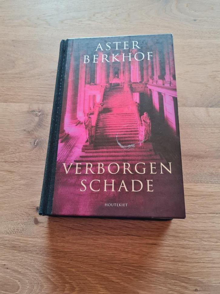 Aster Berkhof_Verborgen Schade, Boeken, Romans, Zo goed als nieuw, België, Ophalen of Verzenden
