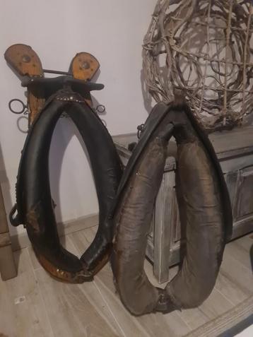 Haam paard x2 beschikbaar voor biedingen
