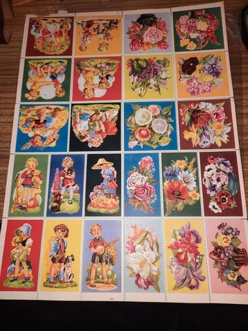 vel 24 ongesneden chromo beschikbaar voor biedingen