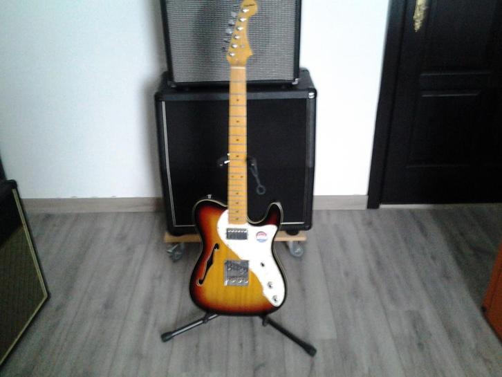 DooDad tele, Muziek en Instrumenten, Snaarinstrumenten | Gitaren | Elektrisch, Zo goed als nieuw, Hollow body, Overige merken