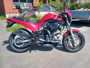 Buell m2 cyclone, Particulier