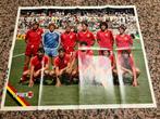 Maradona, Verzamelen, Sportartikelen en Voetbal, Ophalen, Zo goed als nieuw, Poster, Plaatje of Sticker