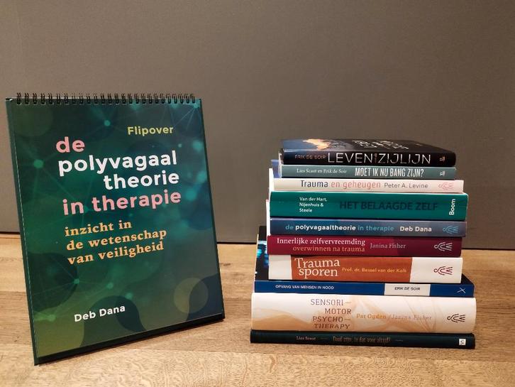 Professioneel trauma-boekenpakket, Boeken, Psychologie, Zo goed als nieuw, Overige onderwerpen, Ophalen of Verzenden