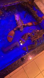 Leuke feest dames die wel zin hebben in een feestje!?, Contacts & Messages, Sorties