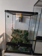 Terrarium te koop, Dieren en Toebehoren, Ophalen