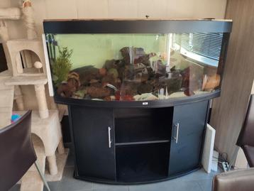 Aquarium Malawi juwel 450
