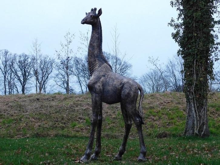 Eenmalig: Giraffe XL - 180 cm - Polystone, Antiek en Kunst, Kunst | Beelden en Houtsnijwerken, Ophalen of Verzenden