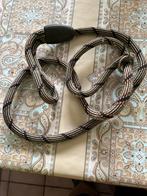 Diverse, Dieren en Toebehoren, Reptielen en Amfibieën