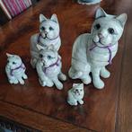 Poezen, Ophalen of Verzenden