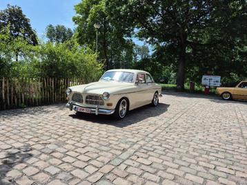Volvo Amazon beschikbaar voor biedingen