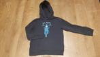 donkerblauwe trui met kap van Filou en Friends maat 152, Enfants & Bébés, Vêtements enfant | Taille 152, Garçon, Enlèvement ou Envoi