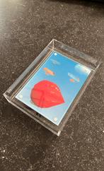 Panamarenko - The Aeromodellers, 1998, Ophalen of Verzenden