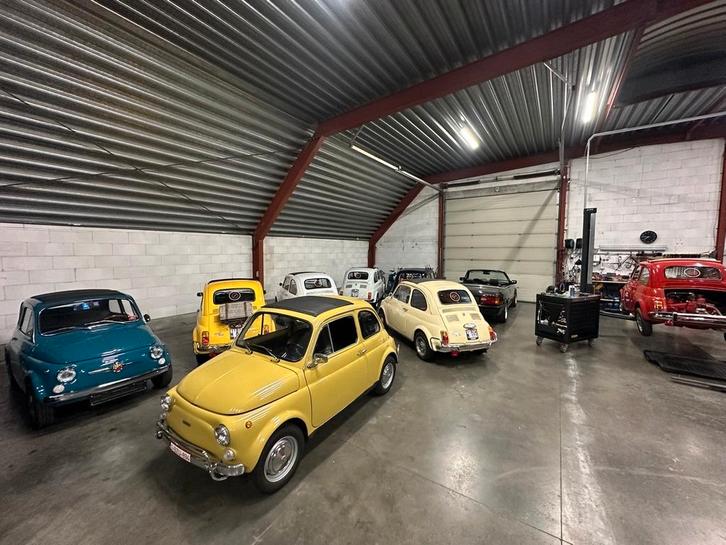 Overname: Verhuur Fiat 500 oldtimers in Vlaanderen, Zakelijke goederen, Exploitaties en Overnames