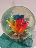 Flowerglobe , echte regenboog roos in sterk water glazen bol, Antiek en Kunst, Ophalen of Verzenden