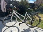 Damesfiets, Fietsen en Brommers, Fietsen | Dames | Damesfietsen, Gebruikt, Versnellingen, 50 tot 53 cm, Ophalen