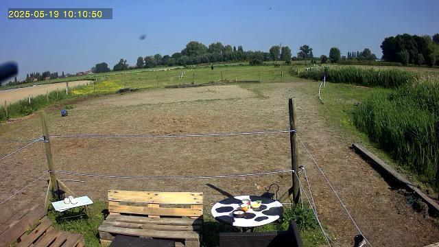 Weide te huur, Dieren en Toebehoren, Stalling en Weidegang, Weidegang, 2 of 3 paarden of pony's