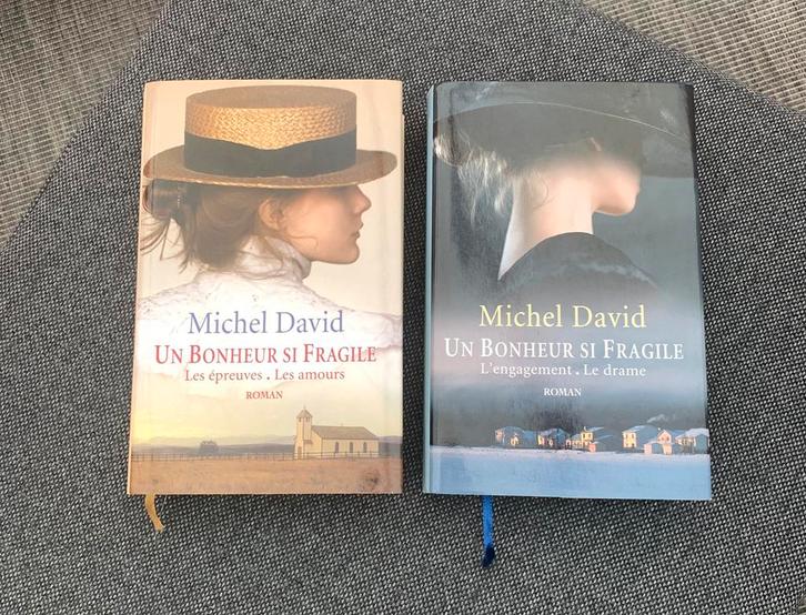 Lot de 2 Livres Michel David, Boeken, Romans, Gelezen, Ophalen