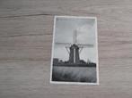BAARLE-HERTOG: Molen Loots, Verzamelen, Postkaarten | België, Ophalen of Verzenden, 1920 tot 1940, Ongelopen, Antwerpen