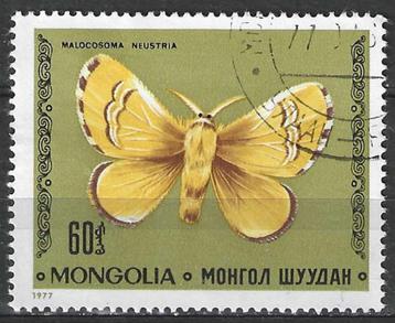 Mongolie 1977 - Yvert 930 - Vlinders - Malocosoma  (ST) beschikbaar voor biedingen