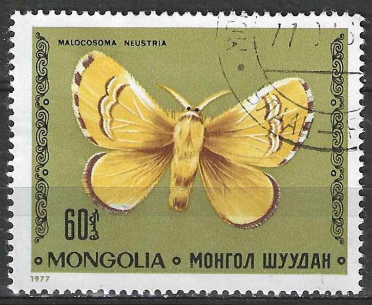 Mongolie 1977 - Yvert 930 - Vlinders - Malocosoma  (ST), Postzegels en Munten, Postzegels | Azië, Gestempeld, Verzenden