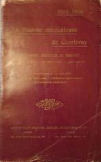 (CHARLEROI) La Madone miraculeuse de Charleroy 1682-1908., Livres, Histoire nationale, Utilisé, Enlèvement ou Envoi