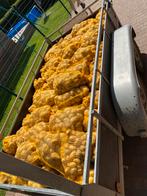 Nieuwe aardappelen!, Diversen, Levensmiddelen, Ophalen