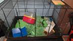 Grote hamsterkooi, Hamster, Minder dan 75 cm, Zo goed als nieuw, Ophalen