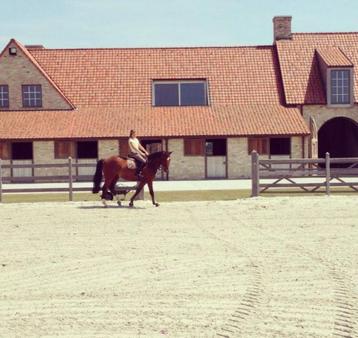 Boxes à chevaux à louer disponible aux enchères