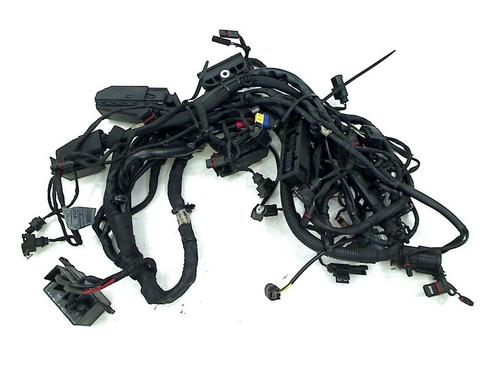 KABELBOOM BMW F 800 GS 2008-2012 (F800GS 08), Motoren, Onderdelen | BMW, Gebruikt