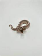 1.0 purple passion axanthic VPI - Koningspython