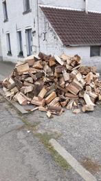 Bois de chauffage dispo aucun frais avant, Jardin & Terrasse, 6 m³ ou plus, Envoi, Autres essences de bois, Bûches