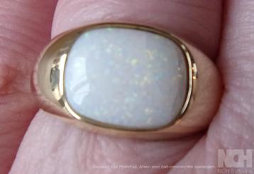 Exclusieve gouden HEREN ring met witte Australische Opaal beschikbaar voor biedingen
