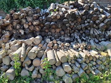 Brandhout, Tuin en Terras, Brandhout, 6 m³ of meer, Ophalen, Beukenhout, Blokken