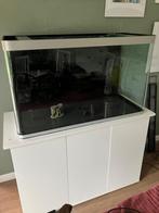 Aquarium / visbak (270l) met alle benodigdheden, Dieren en Toebehoren, Ophalen, Zo goed als nieuw, Leeg aquarium
