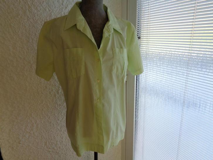 Chemisier vert anis. Marque: "CICERONE". Taille L, Kleding | Dames, Blouses en Tunieken, Zo goed als nieuw, Maat 38/40 (M), Groen