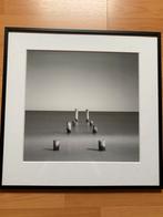 Te Koop : Kader met portret, Antiek en Kunst, Ophalen of Verzenden