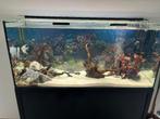 Aquarium Aquatlantis 264L complet avec son meuble., Enlèvement, Comme neuf, Aquarium d'eau douce rempli