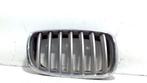 GRILLEROOSTER RECHTS BMW X5 (E70) (51137171396), Gebruikt, Rechts, BMW